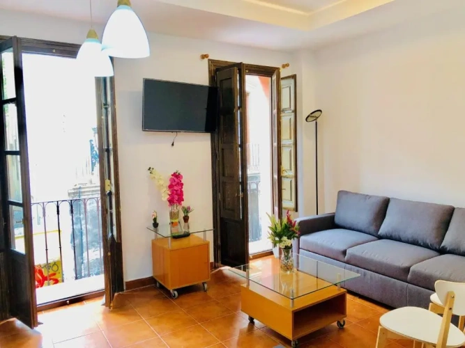 1 Bedroom Apartment