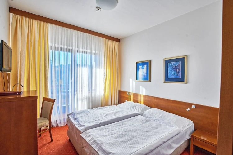 Standard Twin room with land view