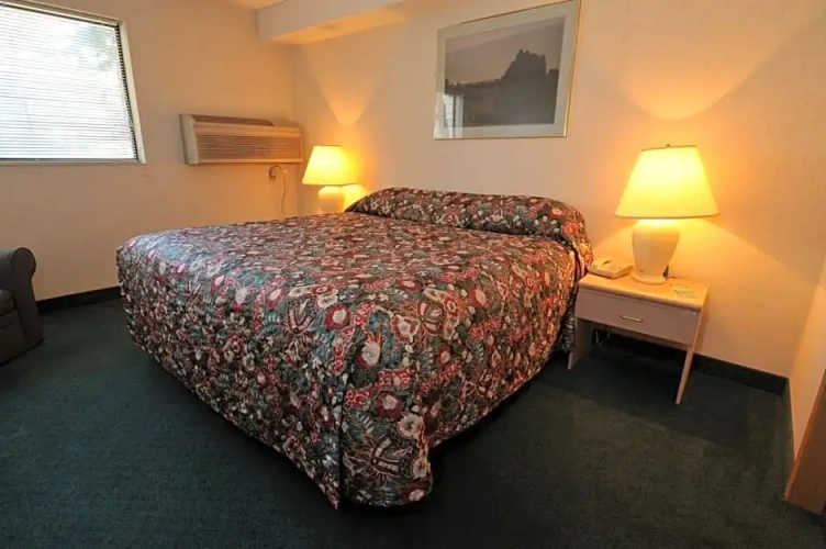 Quadruple Suite