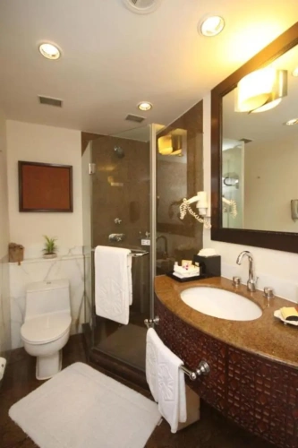 Deluxe Twin room with view