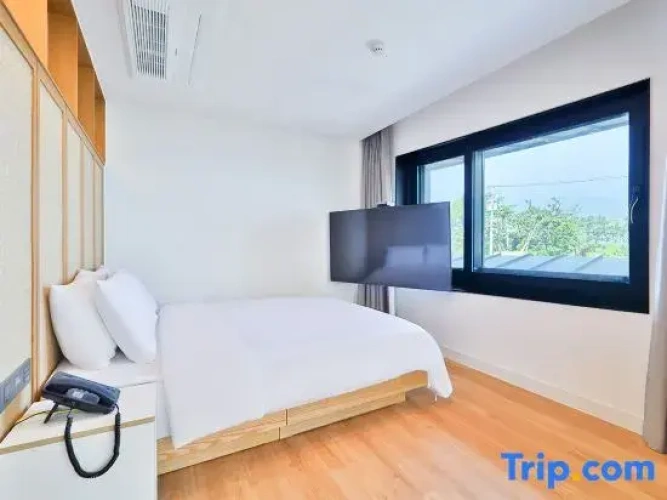 Standard Family Penthouse room