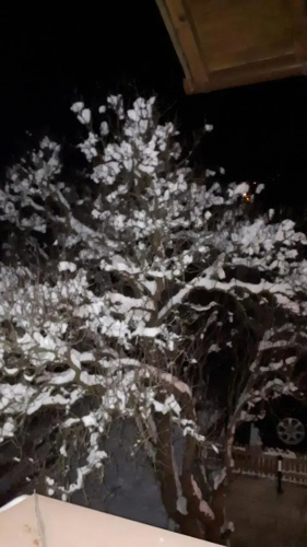 Kupfer Gisela
