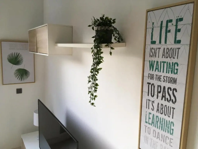 Deluxe Apartment