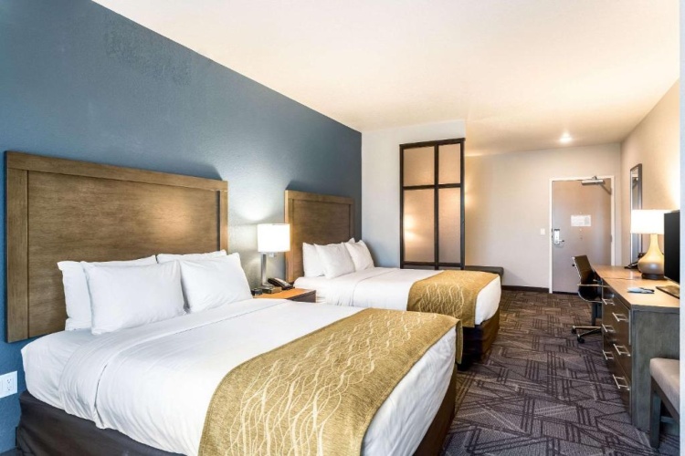 Superior Double Suite