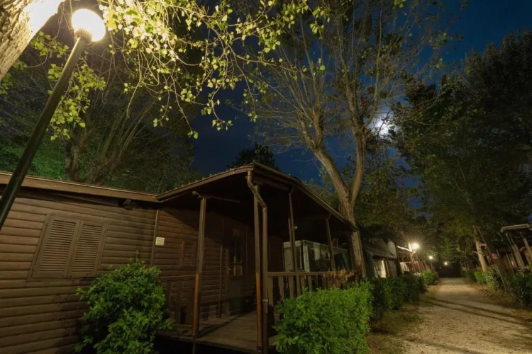 2 Bedrooms Chalet