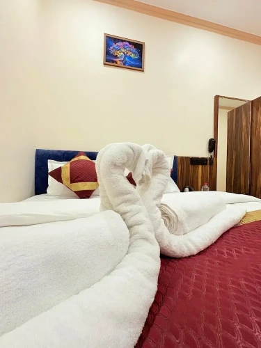 Superior Double room with city view