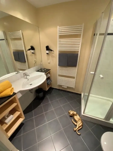 Standard Double room with mountain view