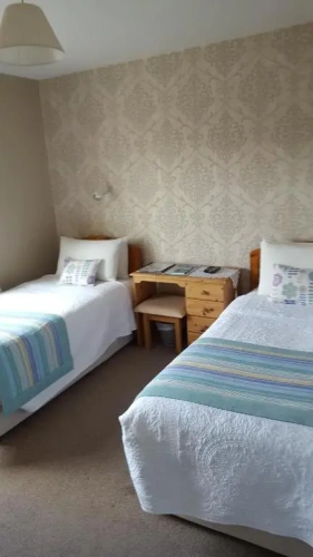 Standard Twin room with garden view