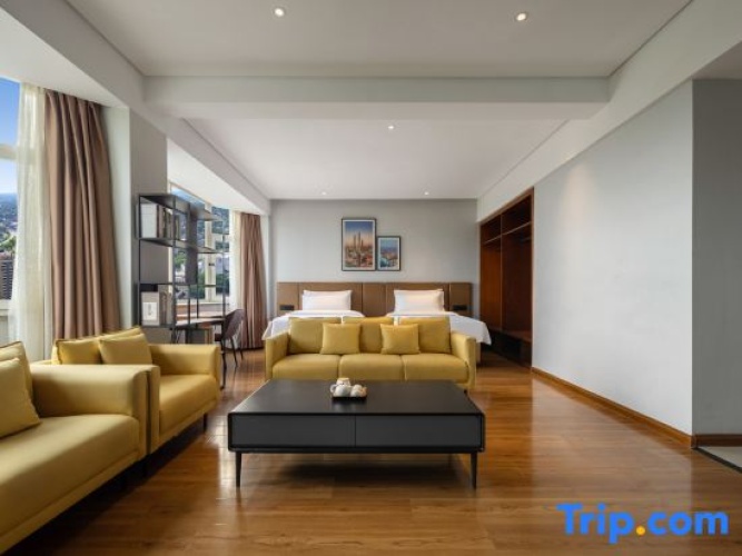 Deluxe Suite with city view