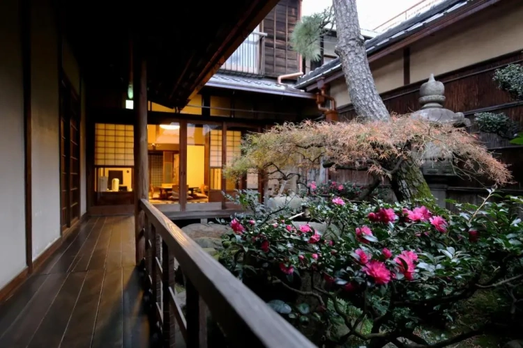Cottage