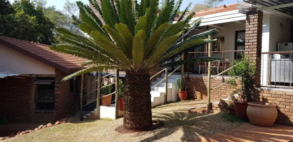 House Mulberry Guesthouse