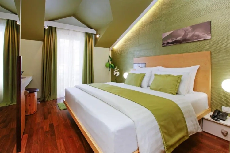 Standard Double room with balcony and with pool view