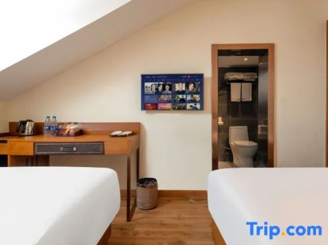 Standard Twin Apartment