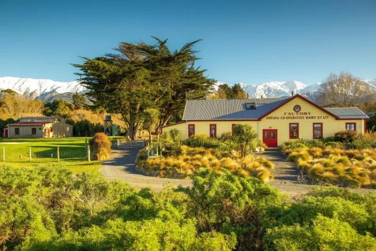 3 Bedrooms Sextuple Cottage