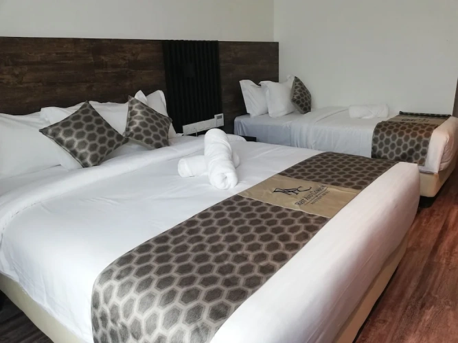 Deluxe Triple room