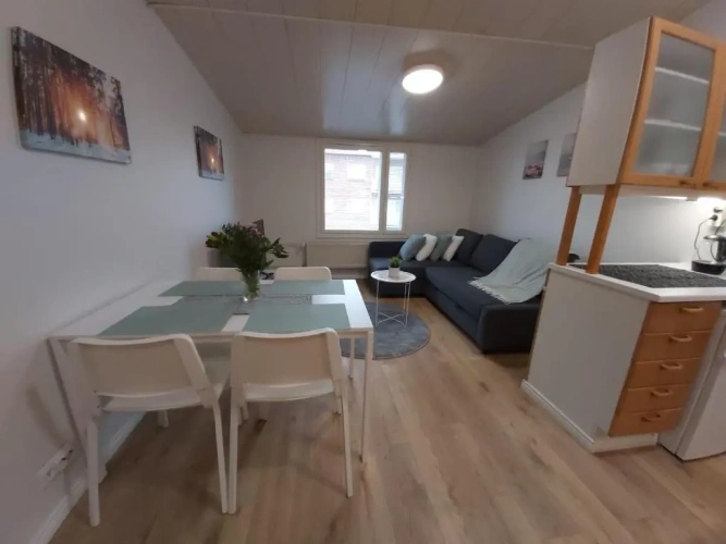 1 Bedroom Apartment