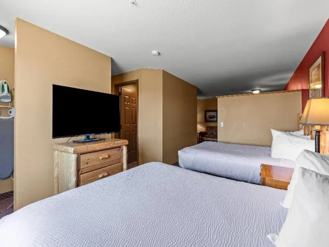 Quadruple Suite