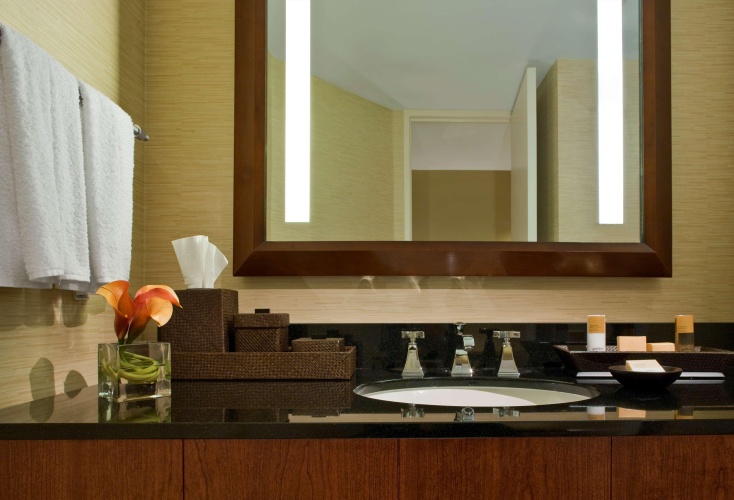 Hyatt Regency Dulles photo 11