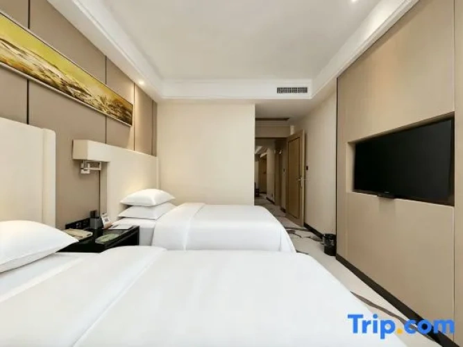 Twin Suite