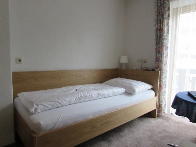 Standard Single room with balcony and with mountain view