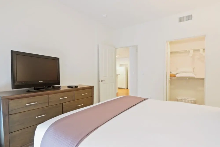 1 Bedroom Luxury Apartment