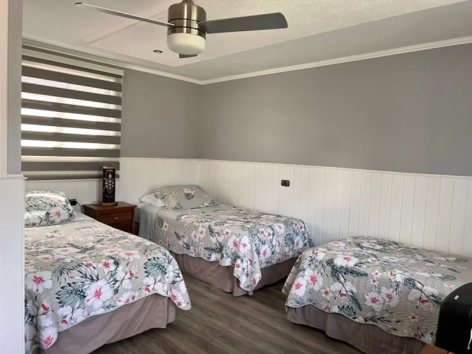 1 Bedroom Standard Triple room