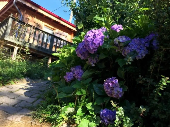 1 Bedroom Chalet with balcony and with view