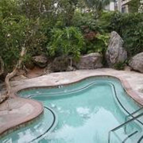 Tropical Paradise