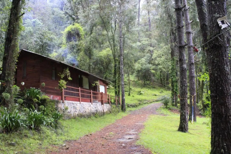 Cabañas Alpinas López Fontes