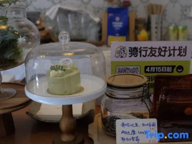 Xi 'an Bottle flower Coffee Hostel