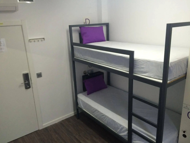 Chameleon Hostel