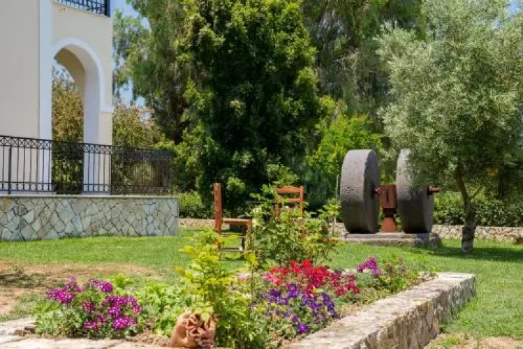 Helen & Theo Studios