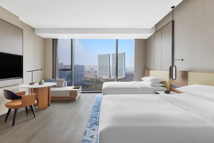 Executive Twin room with city view