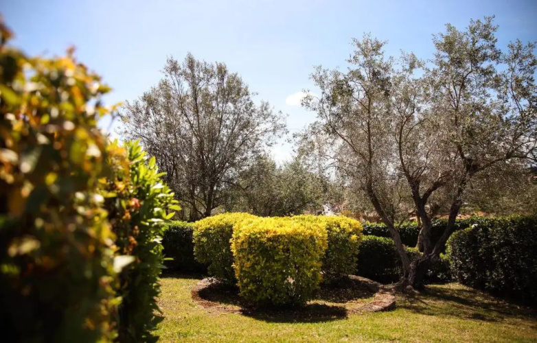 Villa Edera Saturnia