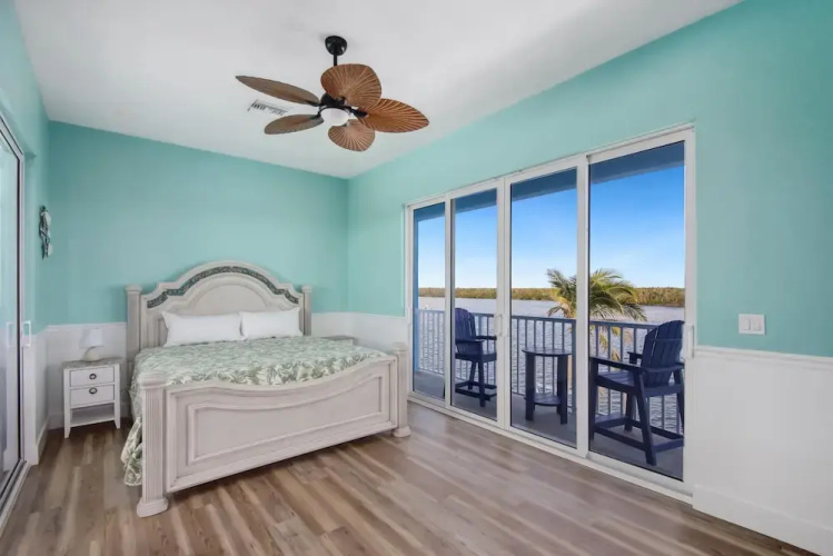 Blue Dolphin View
