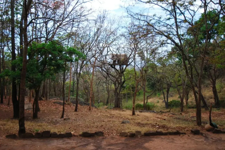 K. Gudi Wilderness Camp