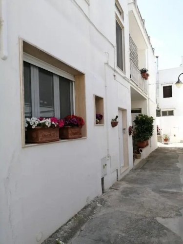 Casa Low Cost