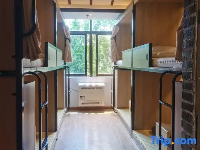 Bed in Dorm