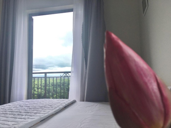Standard Double room with view