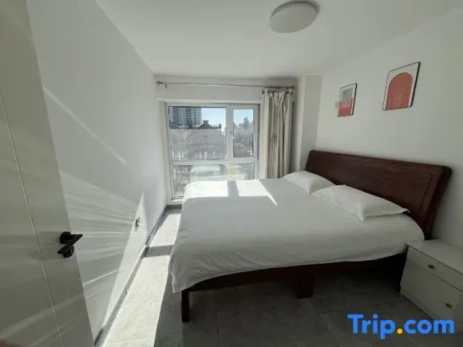 Comfort Quadruple Suite