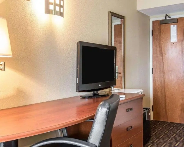 1 Bedroom Standard Double room