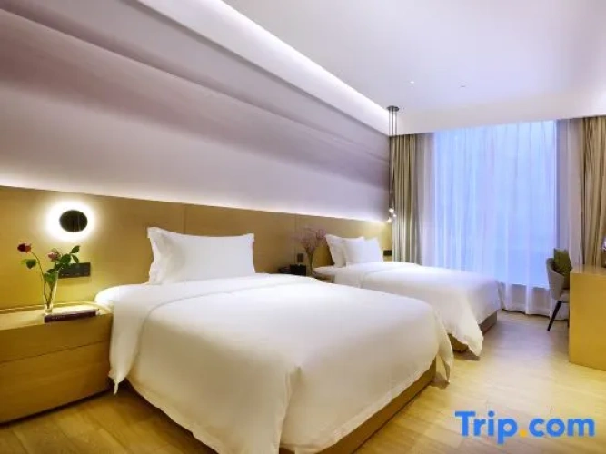 Twin Suite