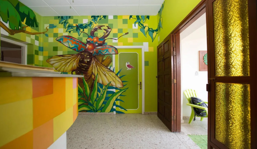 Jedi Garden Hostel