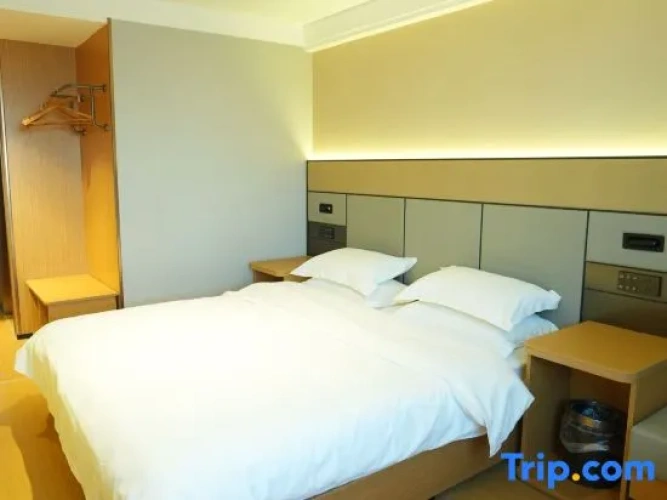 Executive Single room