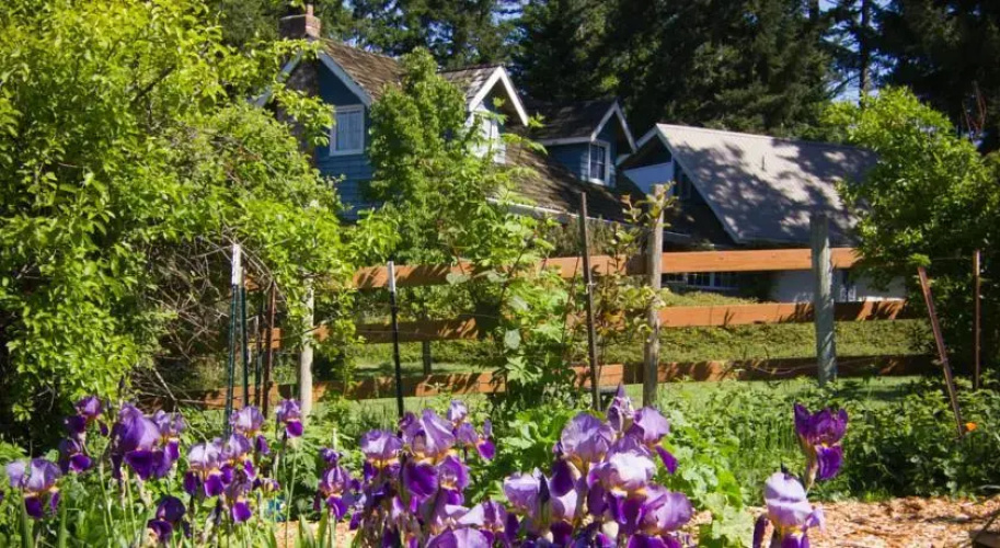 Day Dream Farm Cottage