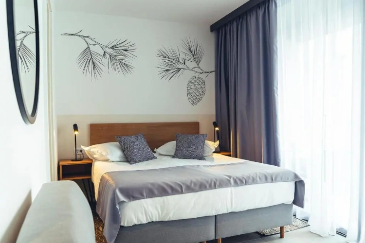 Standard Double room with park view