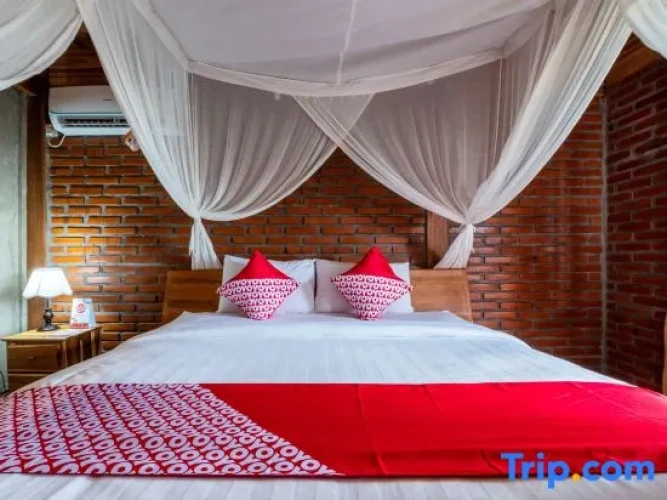 Deluxe Double room with pool view