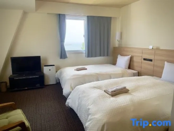 Standard Twin room with ocean view