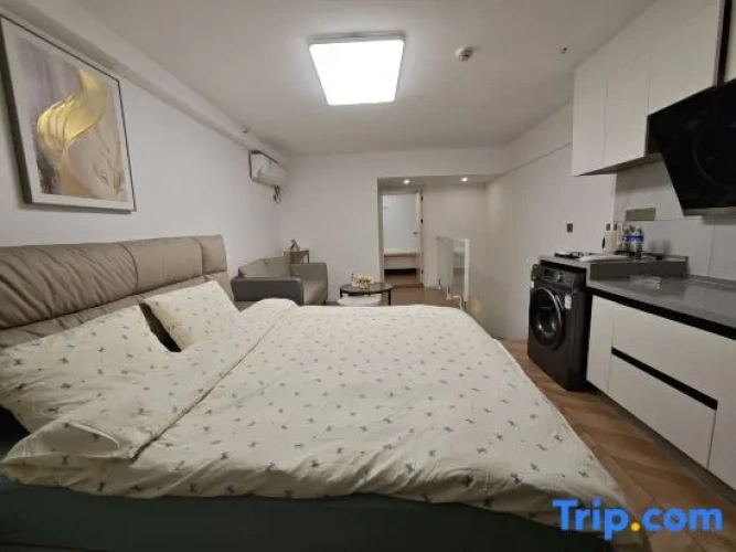 Standard Double room with city view