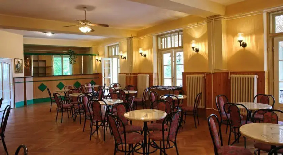 Like Hotel Vonyarc